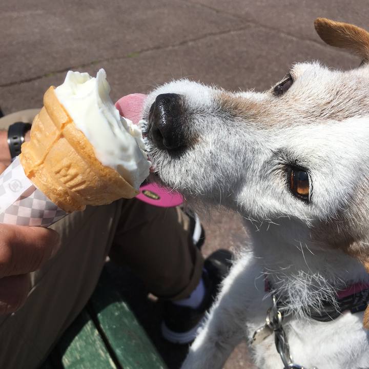 A2155fb5 9967 4144 9f3e b62438cca8f9