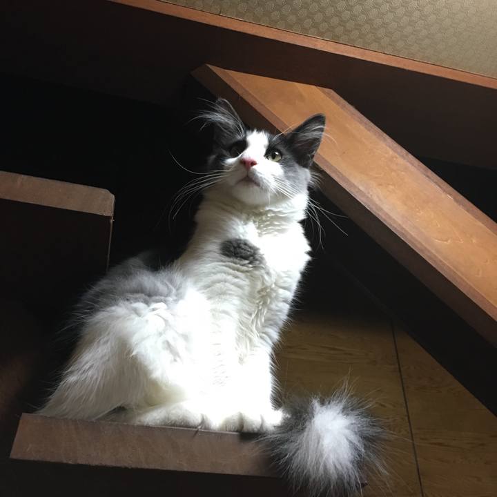 A21576aa c0a3 4efc 9442 c009553cfe0a