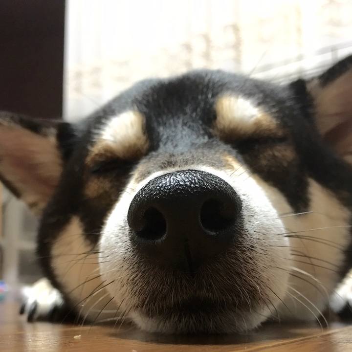 A216eed4 afb3 46d0 9c56 17c2ea33c162