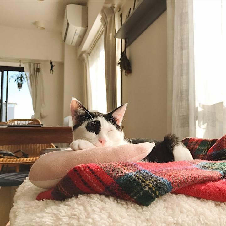 A2171552 e9ad 4337 b840 3a11e5be40b0