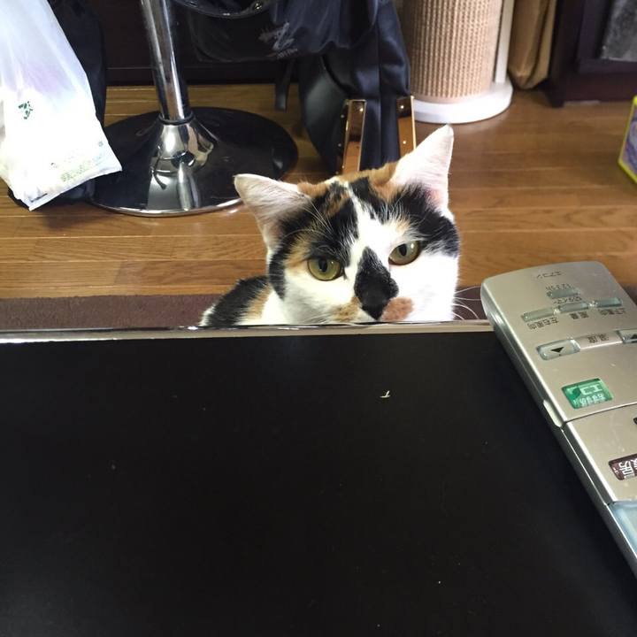 A2174e67 b92d 494e bceb 1c38852d0718