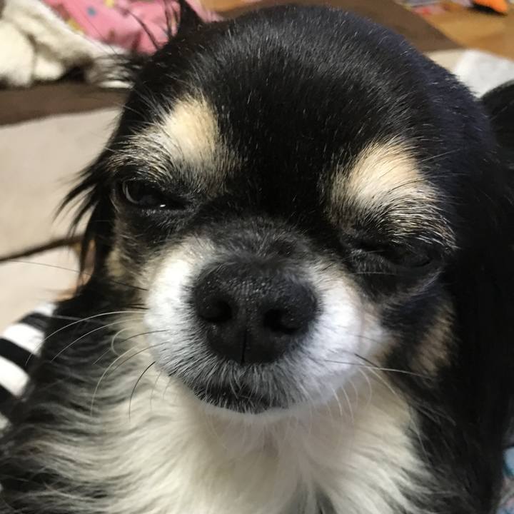 A21760fb 4cd8 4ea9 9c2f be0727178e29