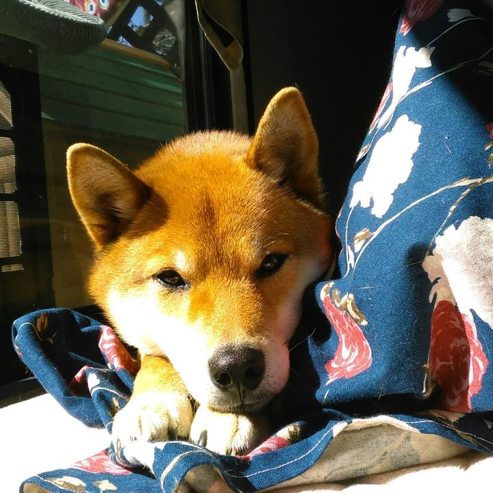 A217f34d 5942 400c 8e0c 4287074f1c5e