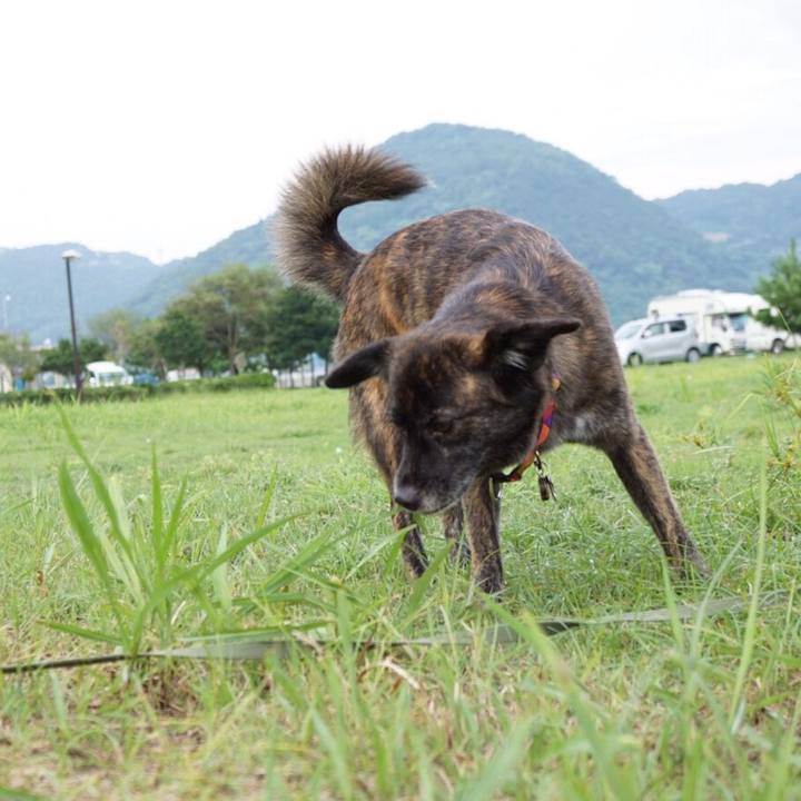 A21838ea 5334 40b5 b316 8d7151ecb280