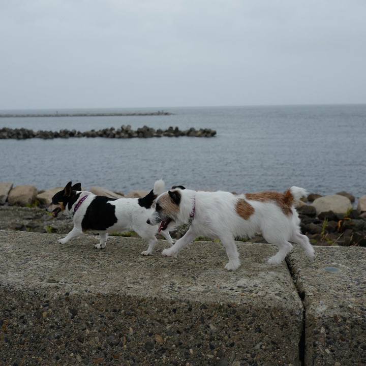 A2191397 ff94 404c 9f2b 9fc3163fa067