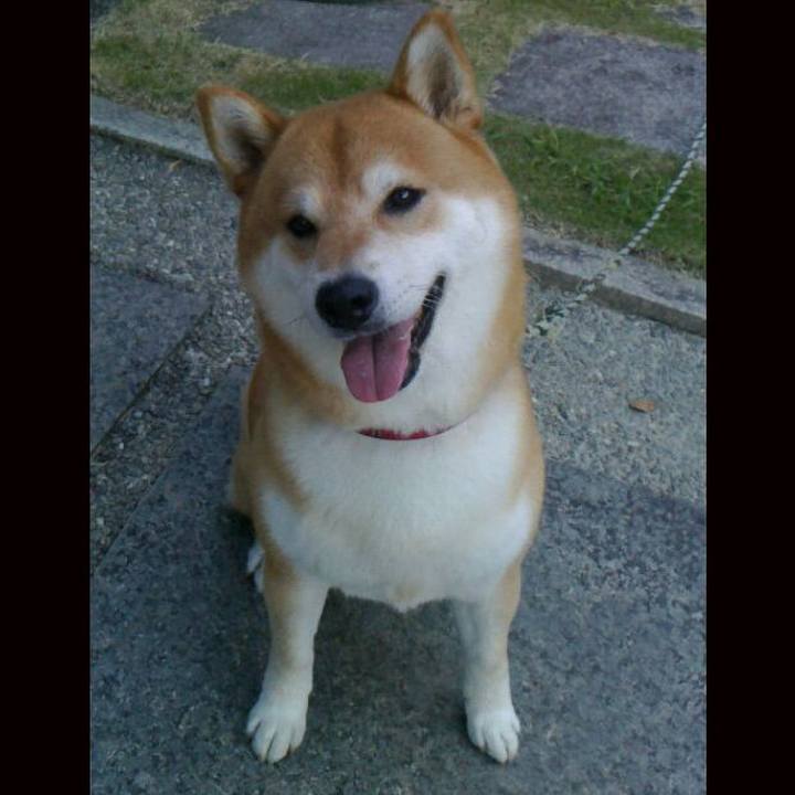 A21975c7 4a7c 4a4f a254 f138d323bfa6