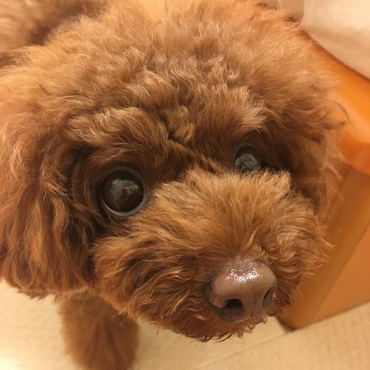 A219a243 9617 4264 89de 9fe82e149b0f