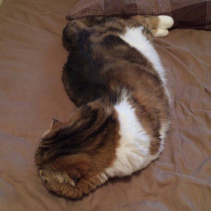 A219a8f1 b9ff 4718 b762 dbc363d08870