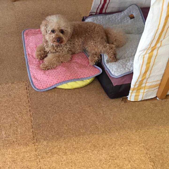 A219bc73 a392 49ee 8dc5 8046286290d9