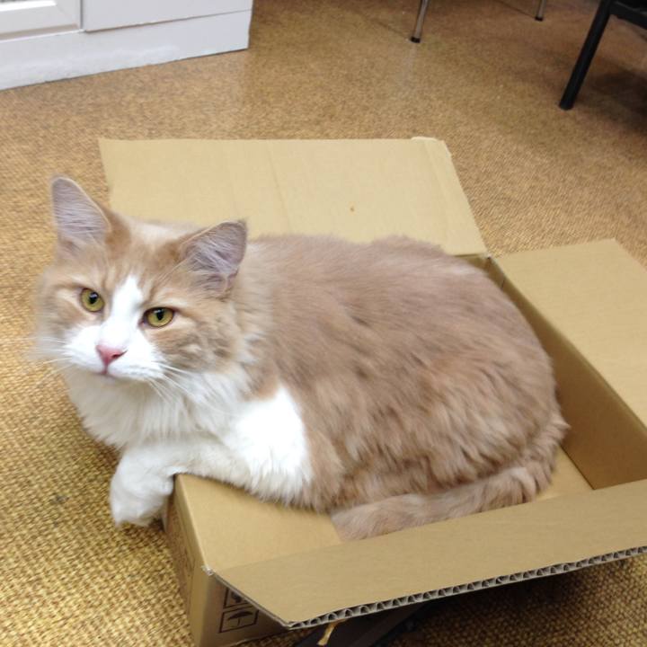 A21a93b5 7381 4822 a6de 3a7652608b73