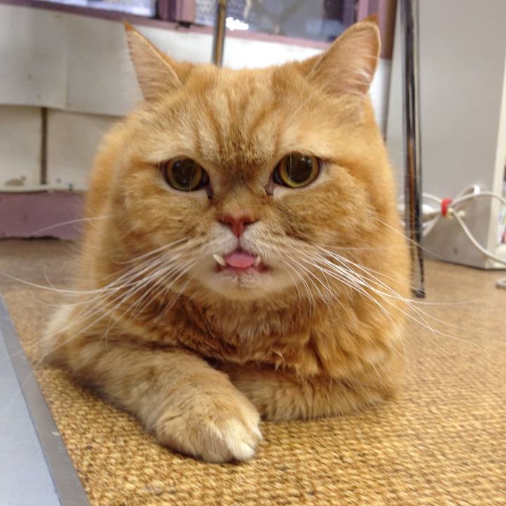 A21b0db0 28de 487d b07a a17dda412757