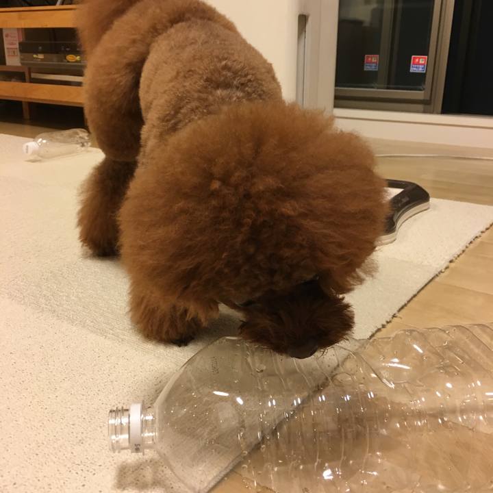 A21b32bc e5b5 4d8c 9747 4efb02e712f9