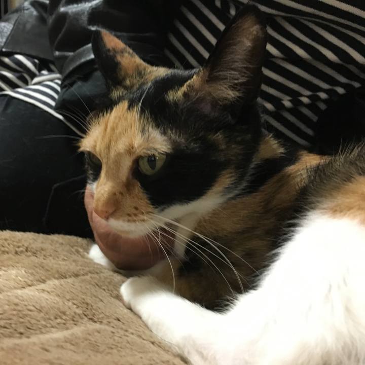 A21b6ab5 1863 4b1e b560 ba65e6dae524