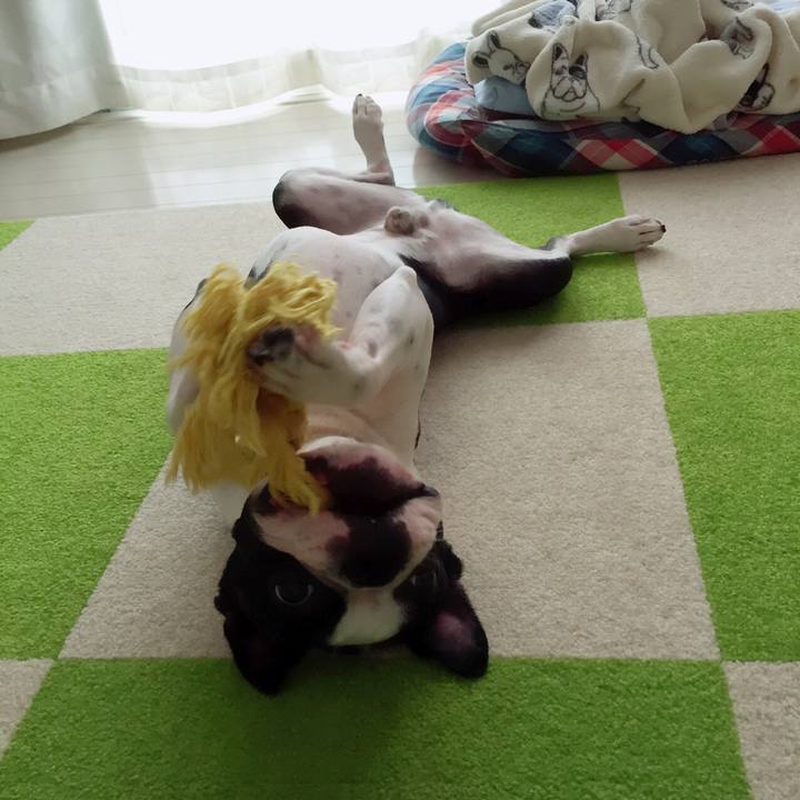 A21b6b4f de12 455a a884 dc117efc5d9c