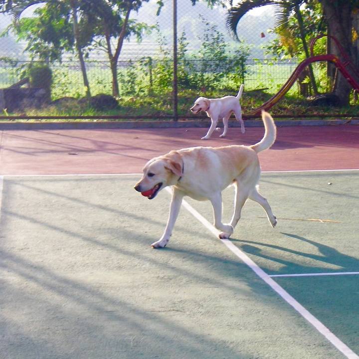 A21b8813 9e4f 41f4 9d49 0a8ca21c4606