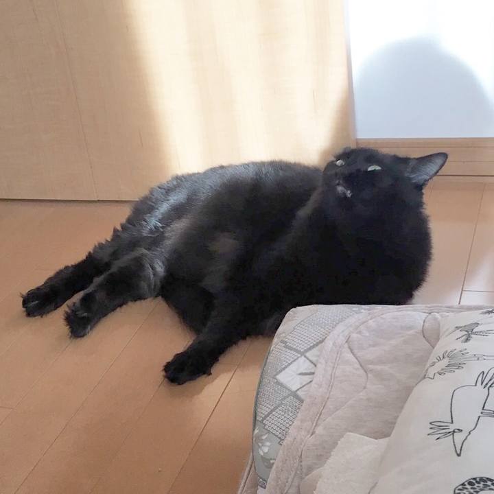 A21d5911 f524 44ab 9dd9 9af7864b7198