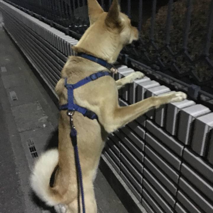 A21de802 6276 42b3 a783 af516ae05be6