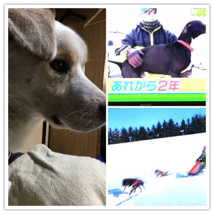 A21e6094 4c6d 424d bcba 63e7d7286b6b