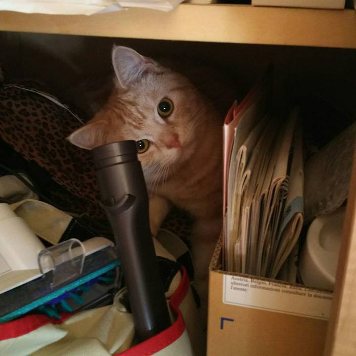 A21e8906 41b4 4658 b8e2 550c02d0fa6d