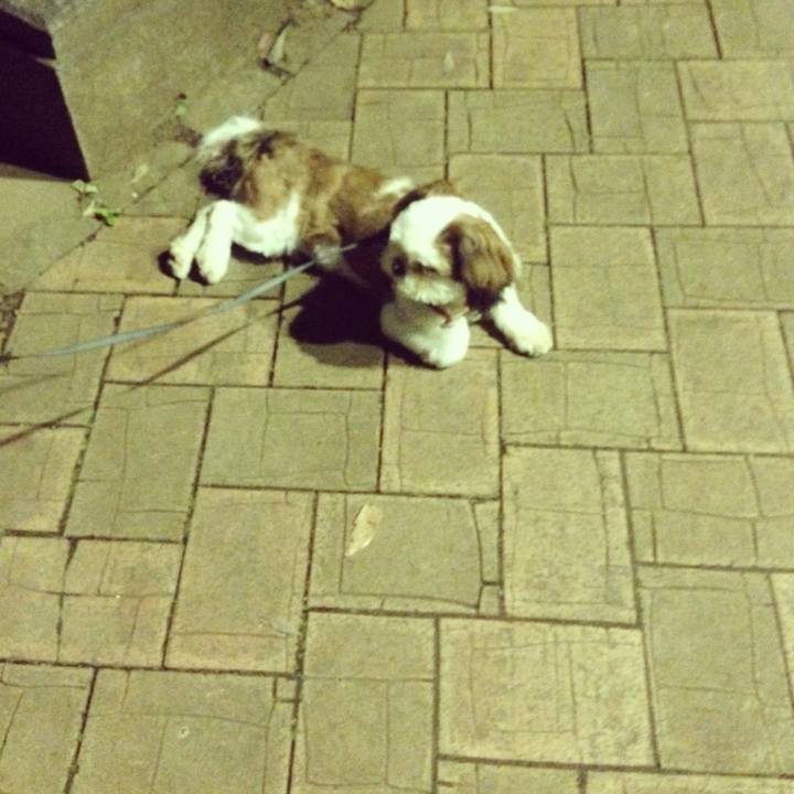 A21e9f7c 3a44 4970 993f ad87563c2877