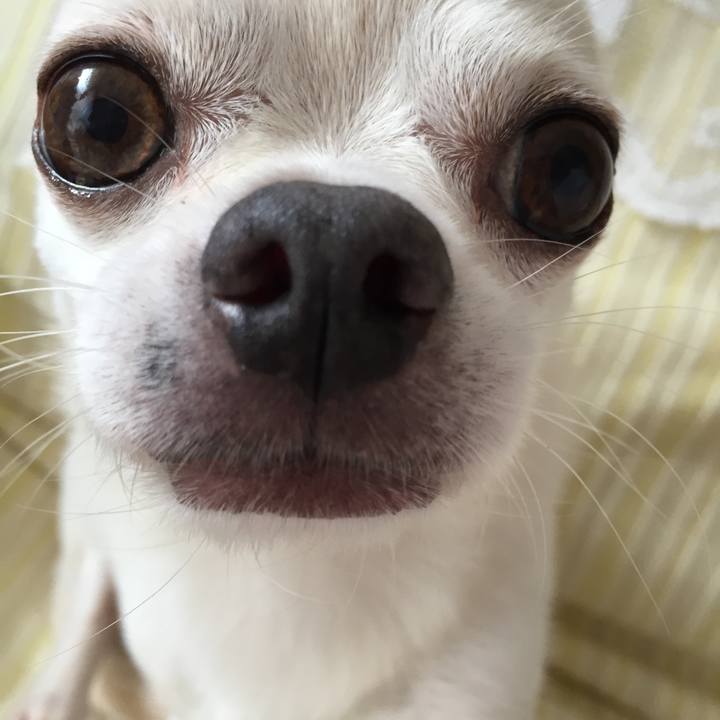 A21ecbe1 eba3 4ecb ad8e b611de4548e8