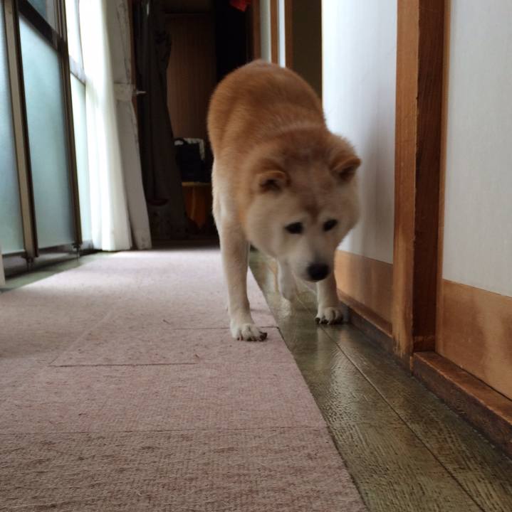 A2204f65 bd5c 487e a167 8fefe88c427e