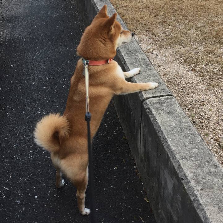 A2204f9d 093a 4847 99c7 1134c666932f