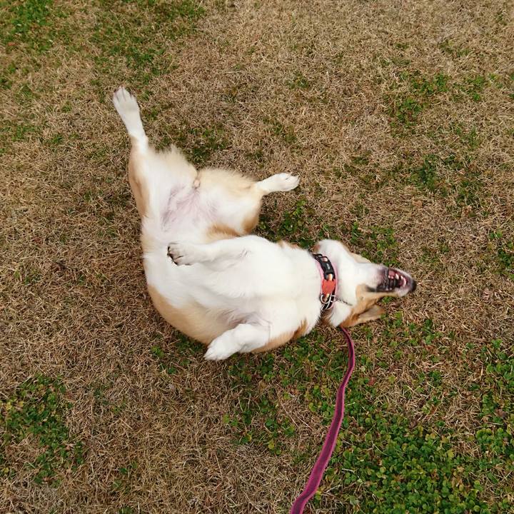 A221a77e cef0 44f4 bf46 221719fd3005