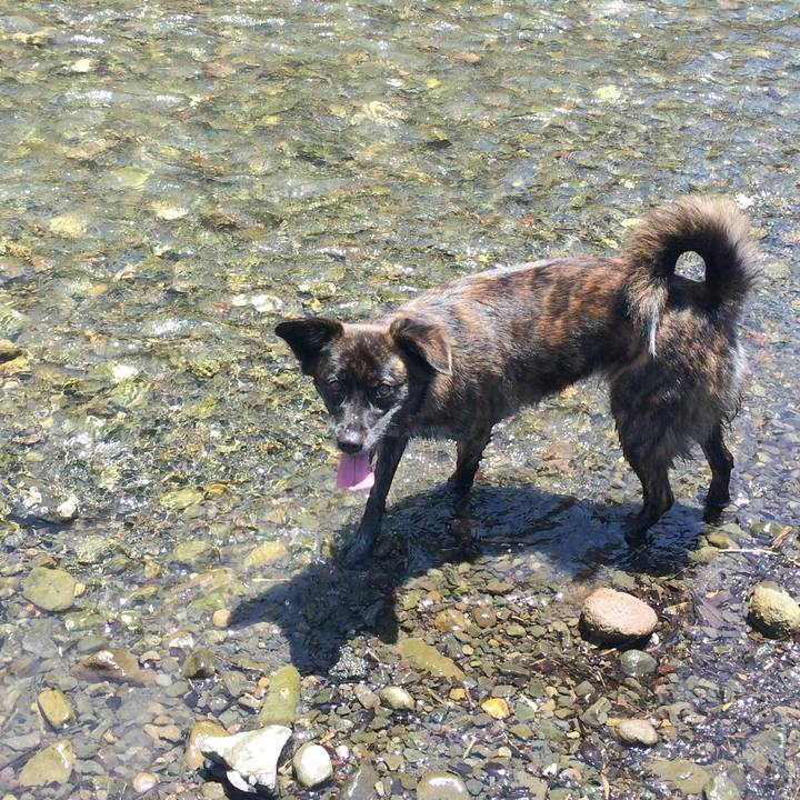 A221cecf 9d33 477e 838d c8a74348c56e