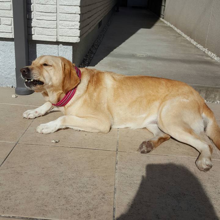 A2220b87 88b0 4980 be31 79af72fb6fa8