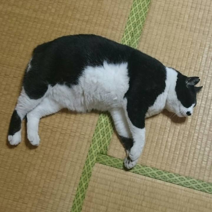 A2226d9d 0afb 43bb bfe6 d1e82963b7a7