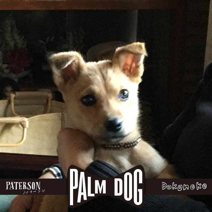 A2228d4b a51c 47cd 854a 8488dbadb4f1