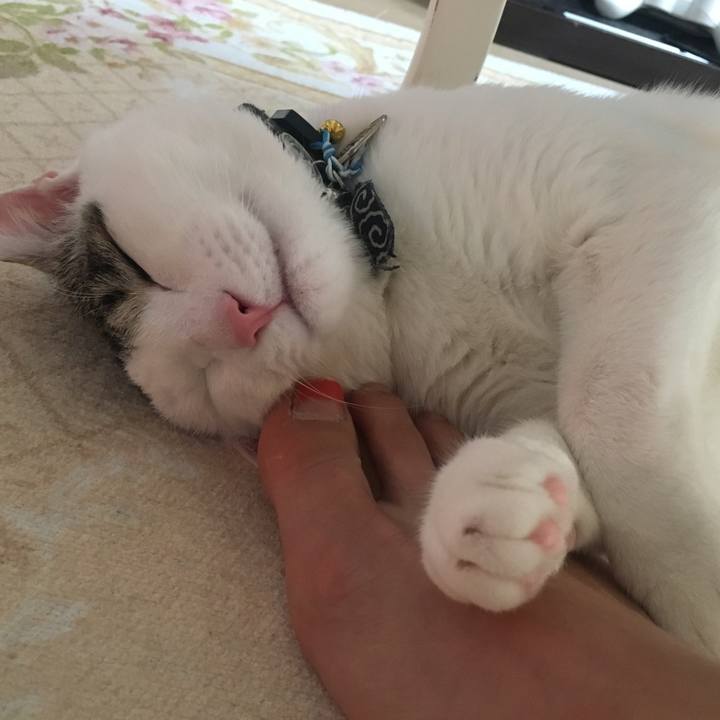 A222dc7d eef5 443f 8b7b 214cdd8ad528