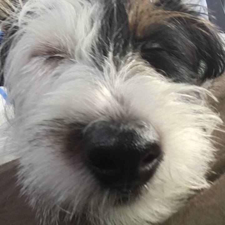 A222f9b1 fb45 4857 8605 c072ca478cd5