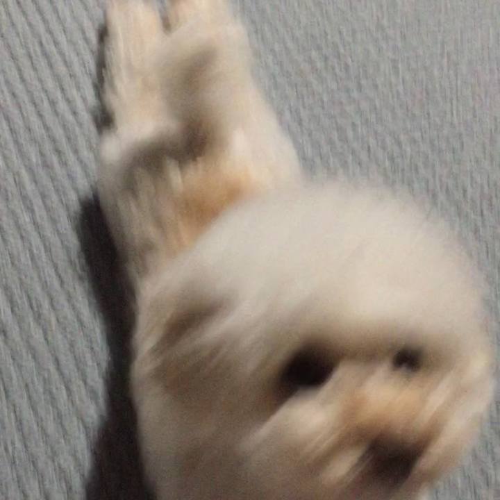 A2239e6b 2e9d 4dbd ae85 259761d02663