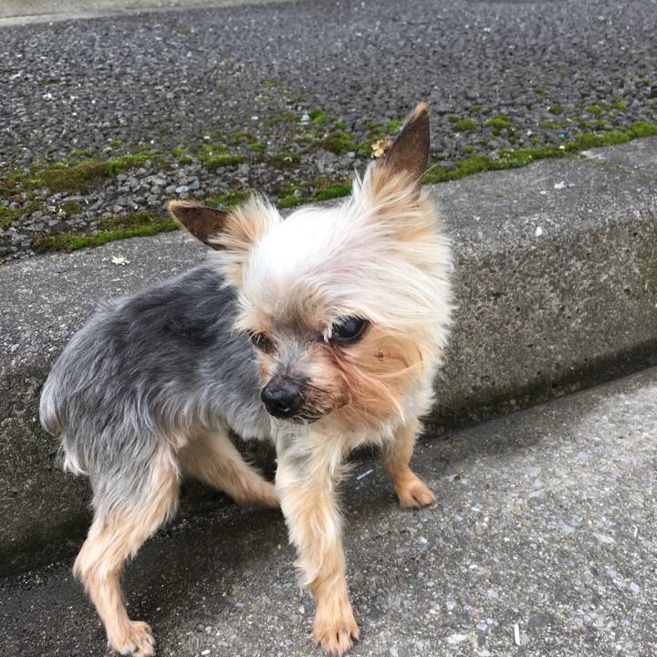 A223f664 6089 45a7 b365 a81cfd58b408