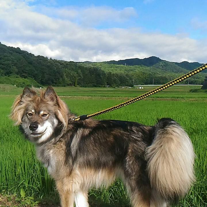 A2258e72 daf3 4bbc 8222 845a30c25586