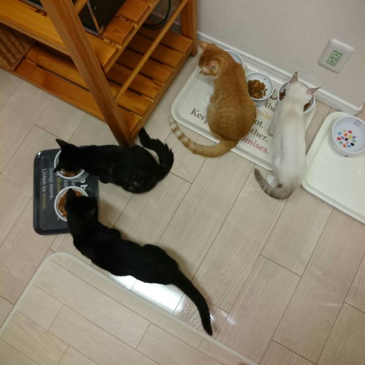 A225eca1 4e72 4ccf 84b5 b803944be4ae