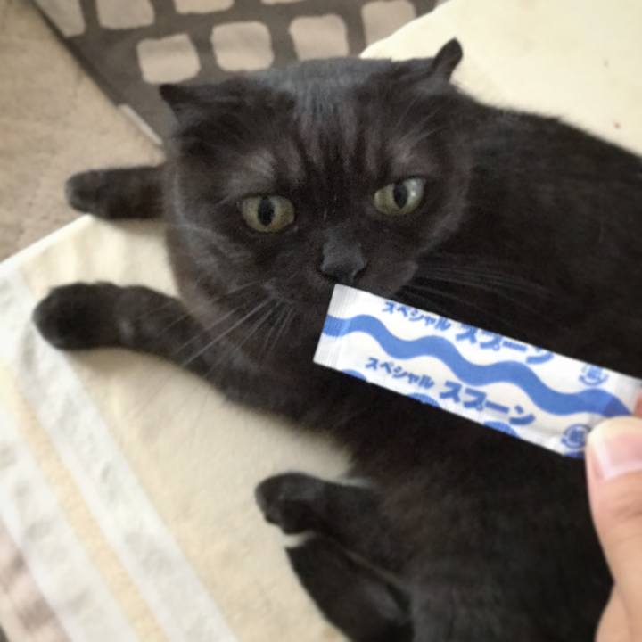 A2265865 fd84 4eb3 9809 92c2f3587e93