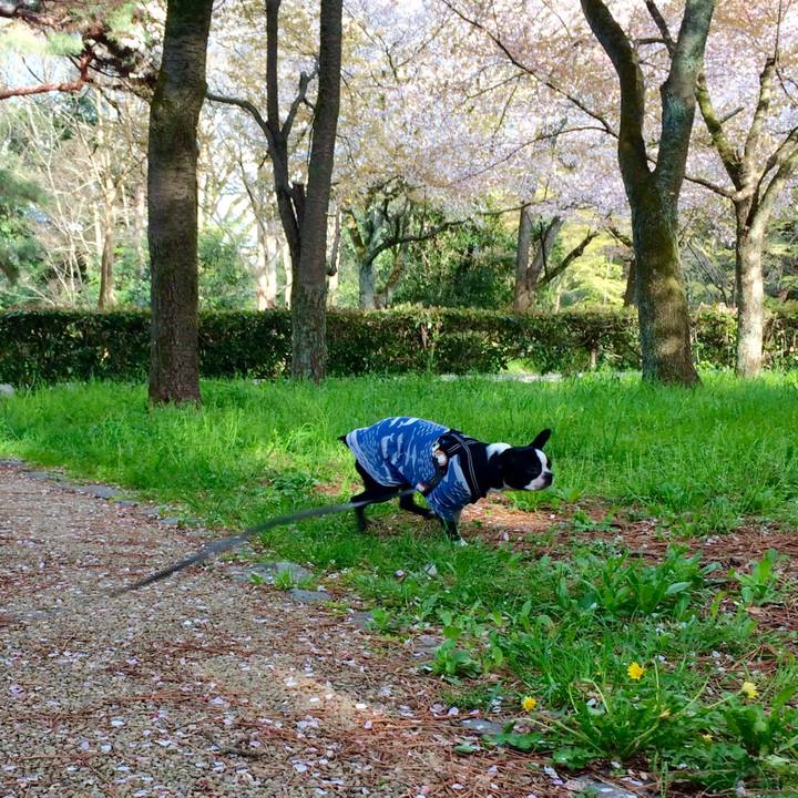 A2266d15 8d07 4361 bdda e8339bb43d13