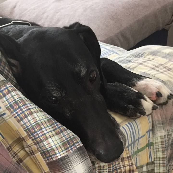 A226b77c 9b6f 44c8 be07 d41e4f807cc5