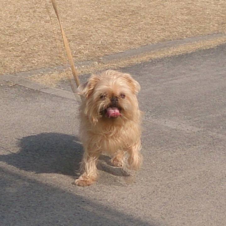 A227abbe 36b9 43a3 a459 82ab4298b123