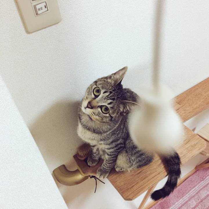 A227f29b cd77 4eaf bdaa c20984669b94