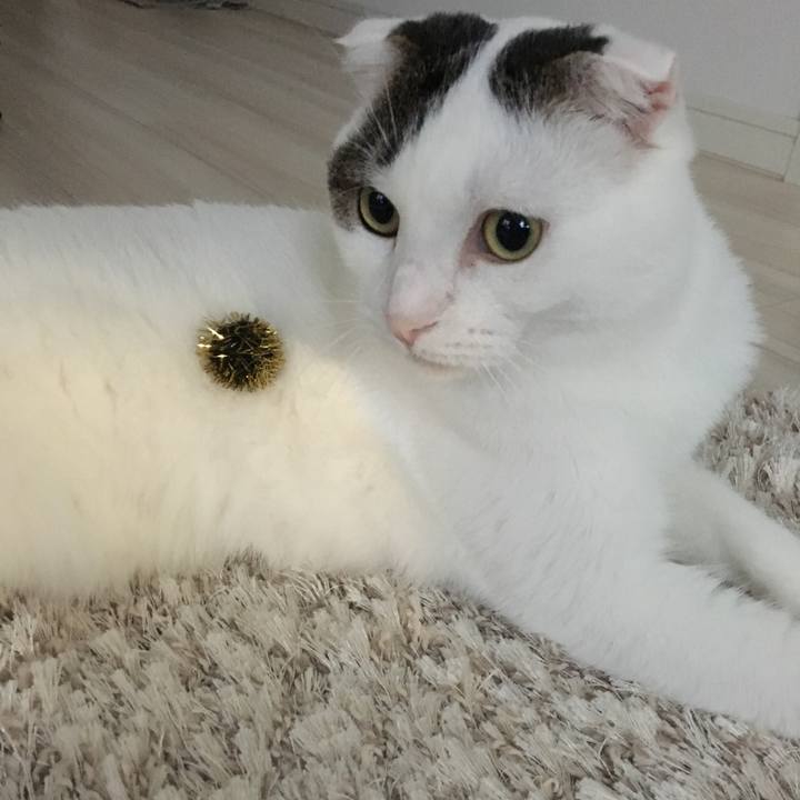 A227fc22 ceff 44b9 9bad 5e54a711e265