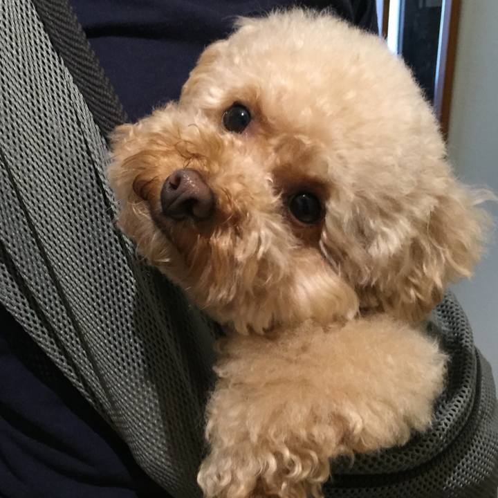 A228074a 5060 40b4 bdd3 389a0ded933e