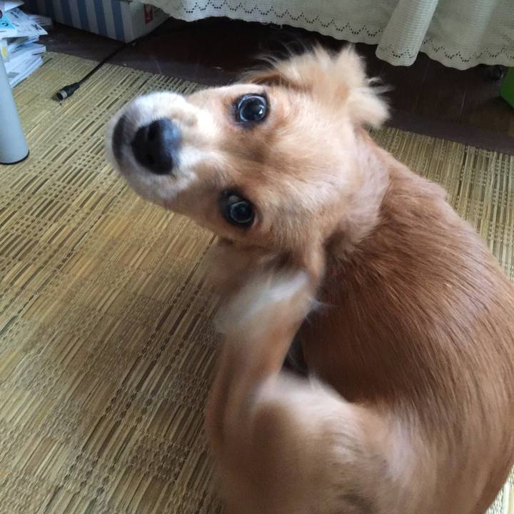 A22859fe 683a 4bd6 ba14 4b38a360ea9c