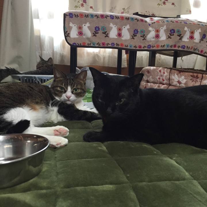 A22864ec 805b 441b a265 01ab3ab683f5