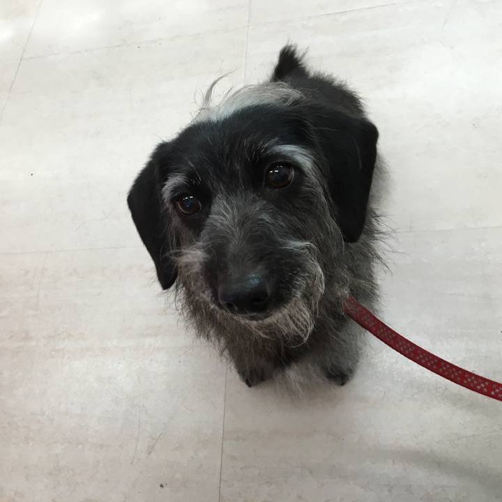 A2287e77 cd26 4c65 8e47 0fcd3858bc40