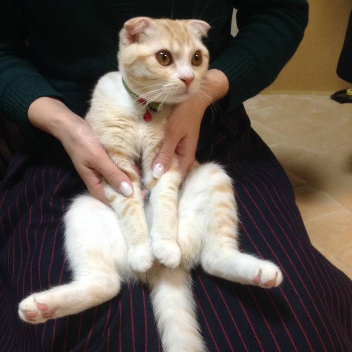 A2295a2a 4367 4b3e b209 098a2b17a110