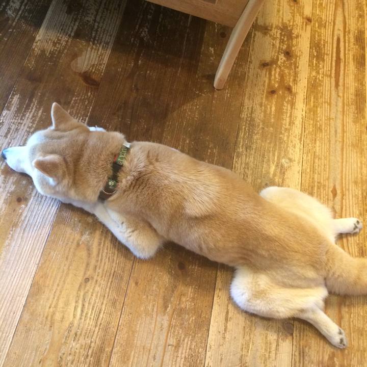 A2298a69 ab1c 4912 9da5 ffe2f83e5bad